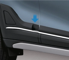 BODY SIDE MOULDING (GARNISH INSERT)