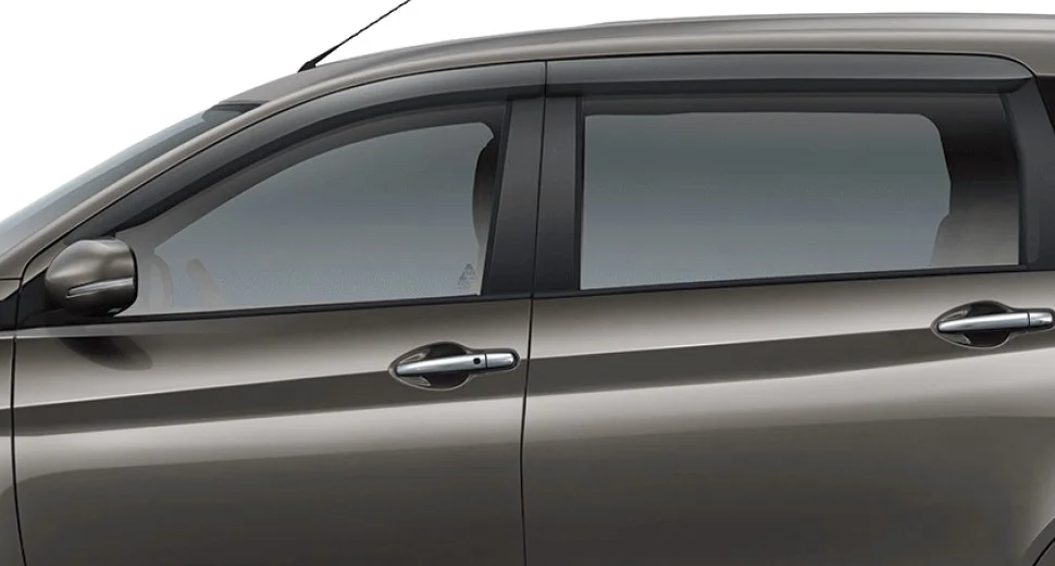 Door Visor