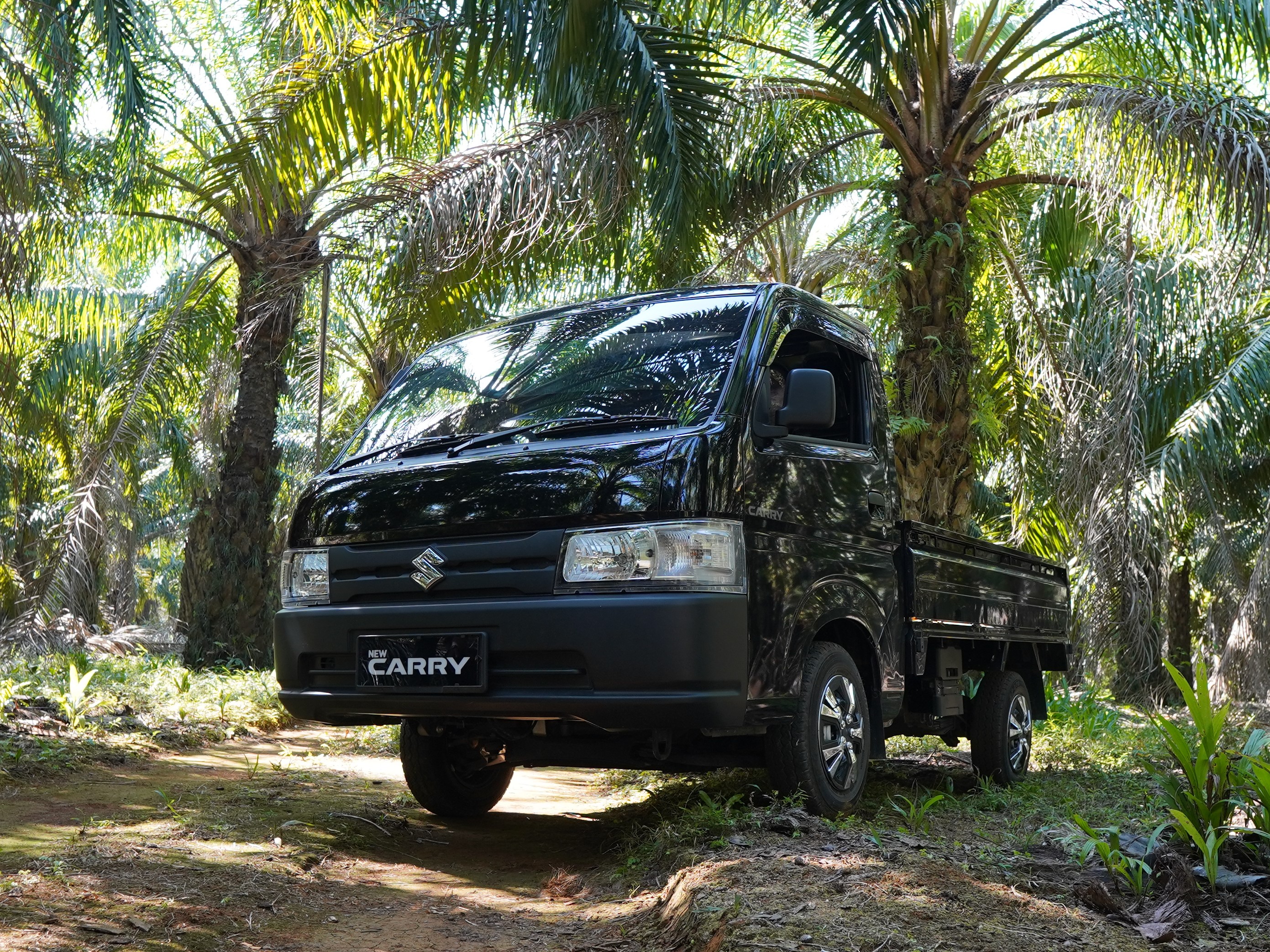 New Carry Pick Up Raja Kendaraan Niaga Ringan Di Kalimantan