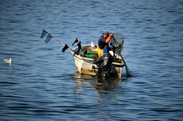 nelayan menggunakan mesin kapal suzuki
